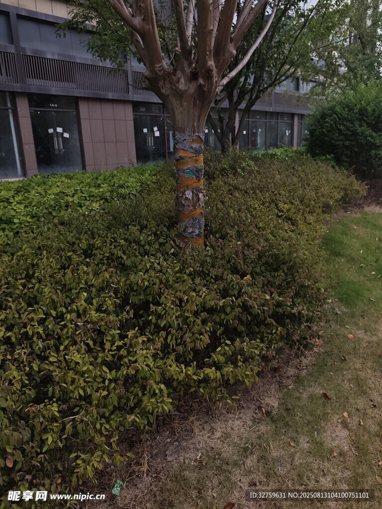 城市角落的綠植景觀