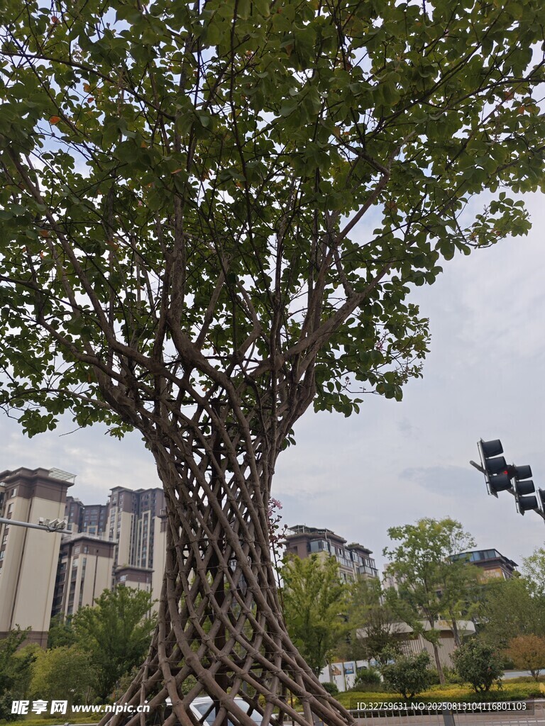 獨特造型的藝術樹景觀