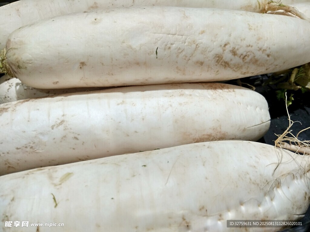 新鮮白蘿卜堆疊展示