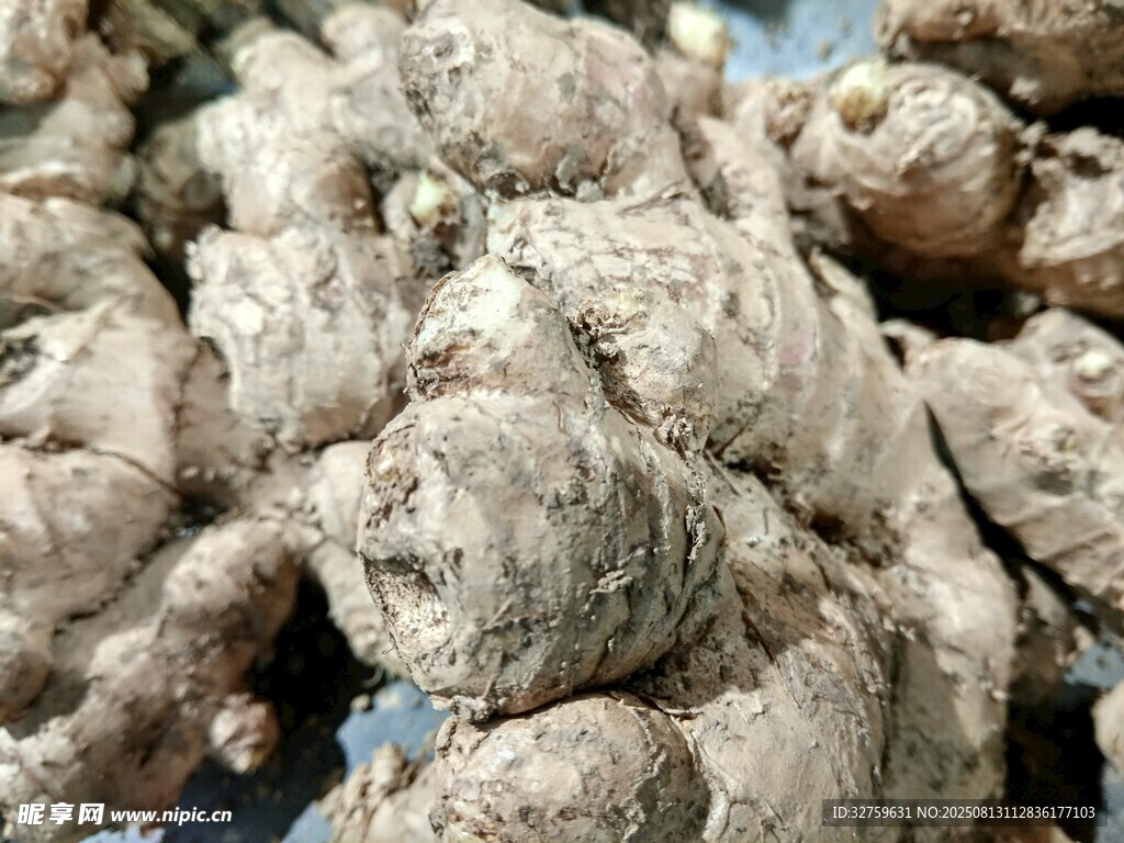 新鮮生姜特寫