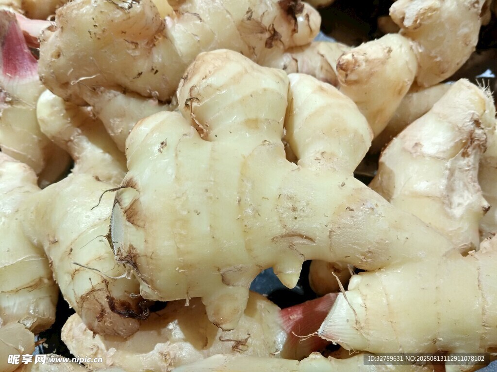 新鮮嫩姜特寫