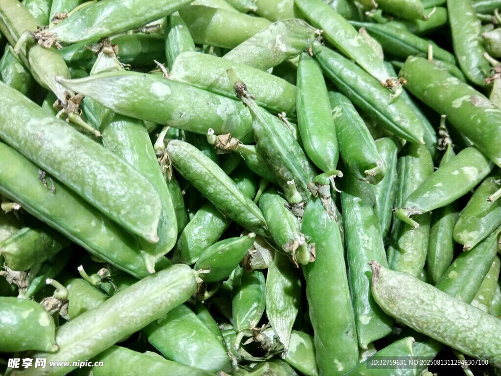 新鮮飽滿的青豌豆
