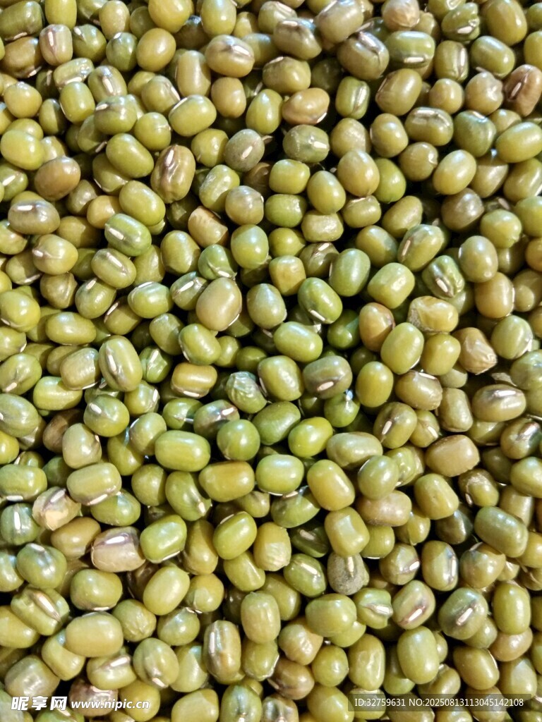 飽滿綠豆特寫(xiě)