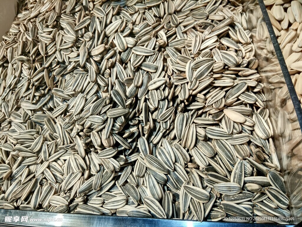 滿滿一堆葵花籽待選購