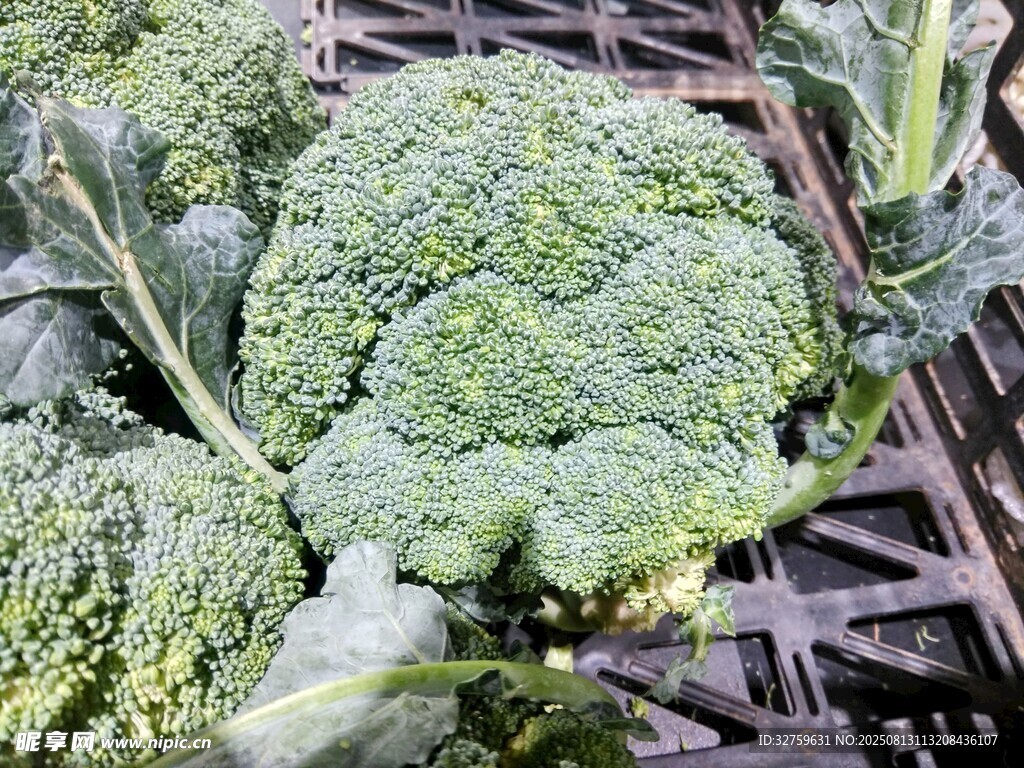 新鮮西蘭花特寫