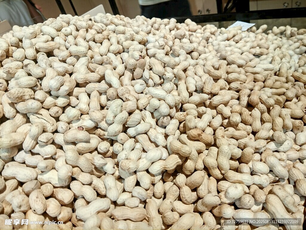 大量飽滿花生堆成小山