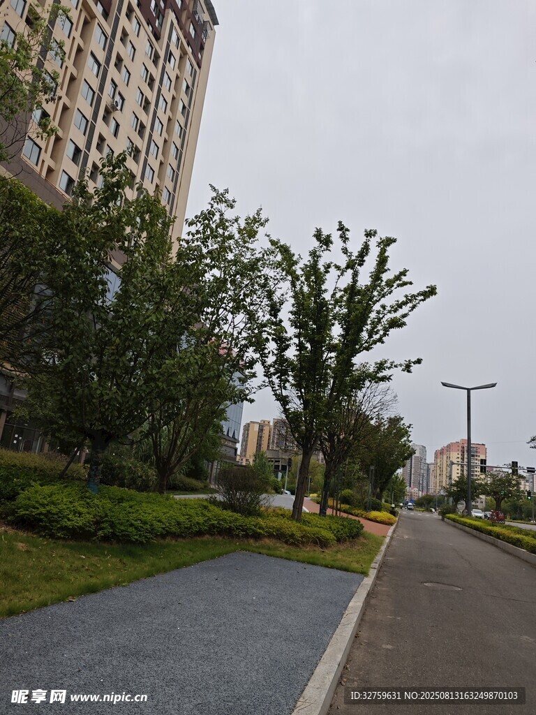 城市道路旁的綠植景觀