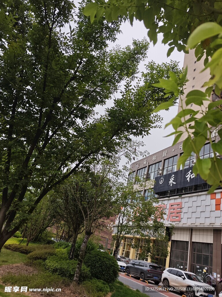 小區(qū)綠樹環(huán)繞的居住環(huán)境