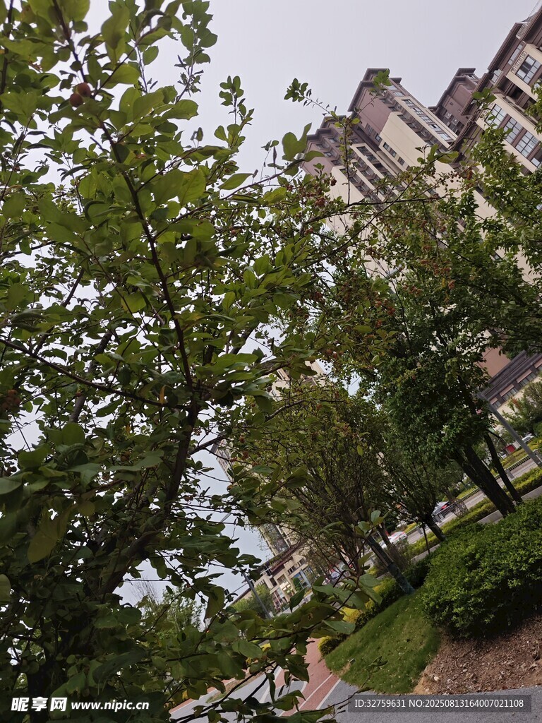 小區(qū)綠植環(huán)繞的居住環(huán)境