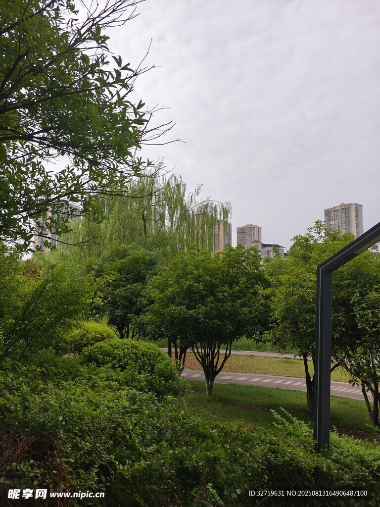城市中的綠意盎然公園景致