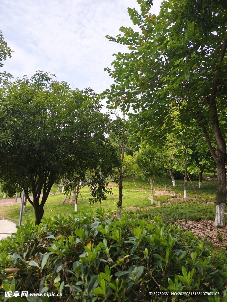 綠意盎然的戶外園林景觀