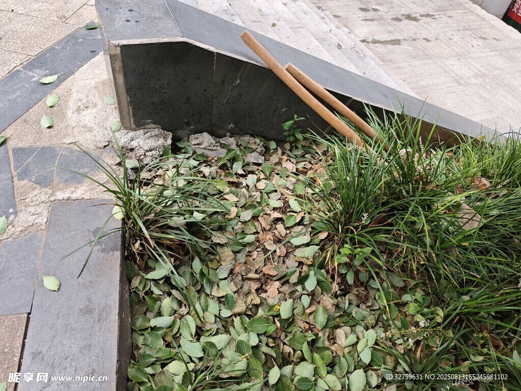墻角綠植堆
