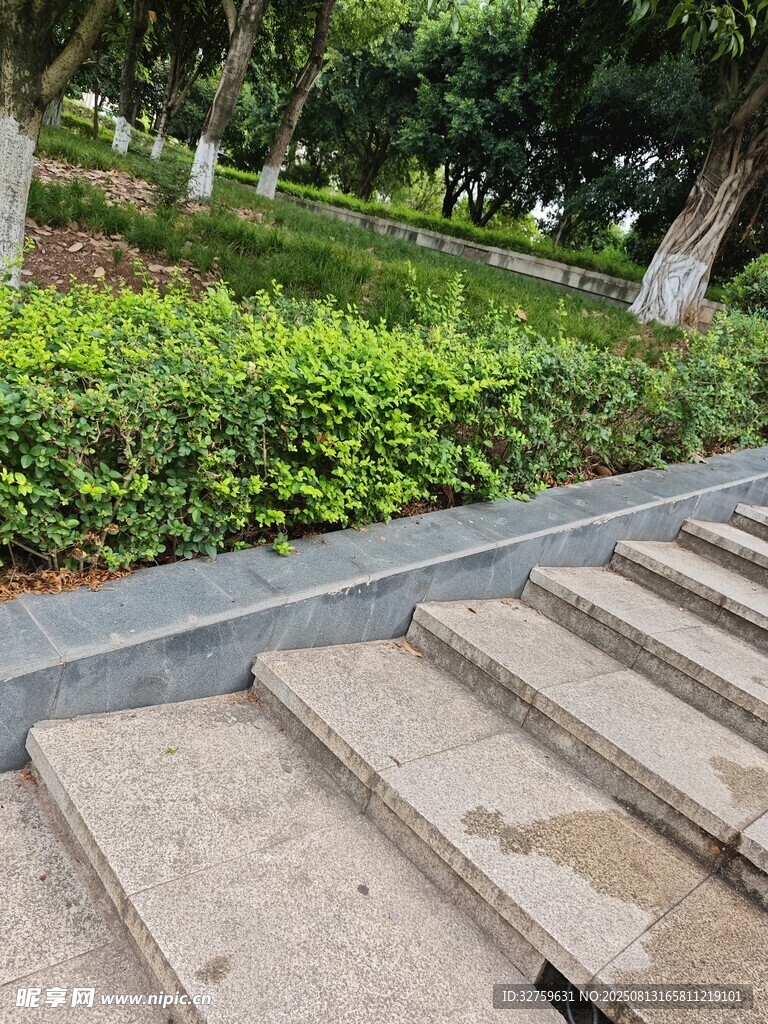 公園石階旁的綠植景觀