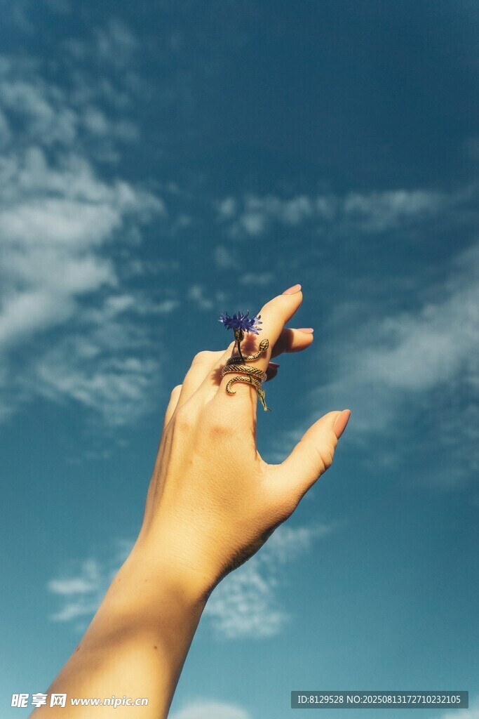 手向天空擁抱自由