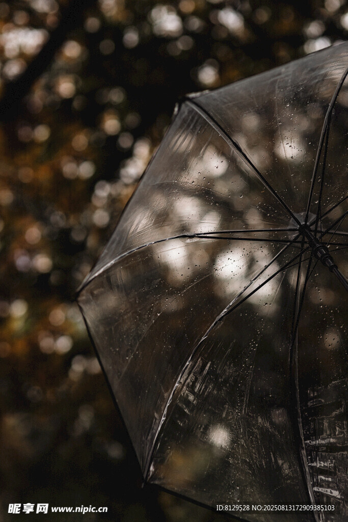 雨中透明傘光影斑駁