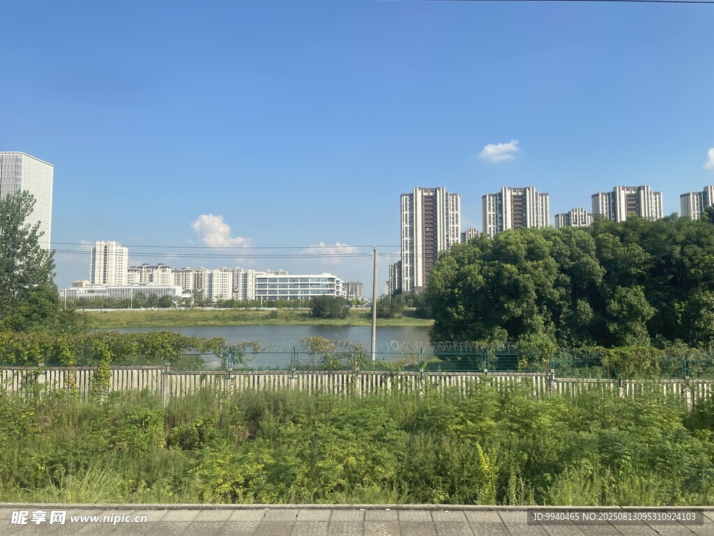 城市河畔綠植與高樓景觀