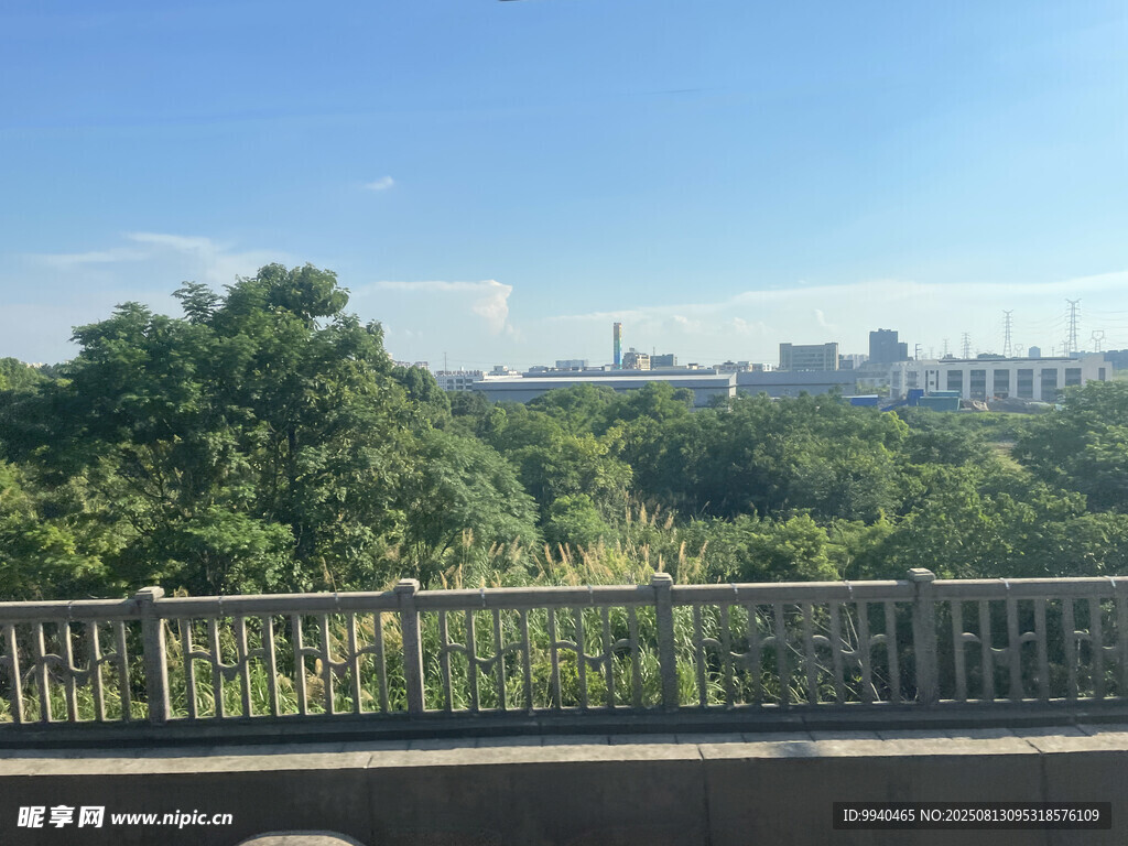 橋上遠眺綠樹掩映的城市