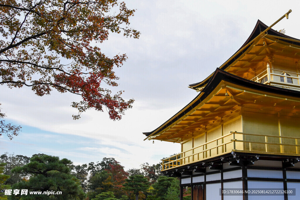 金閣寺美景