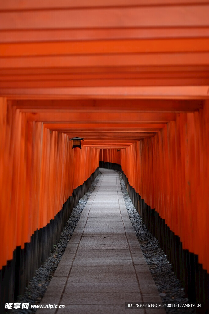 紅色鳥居通道景觀