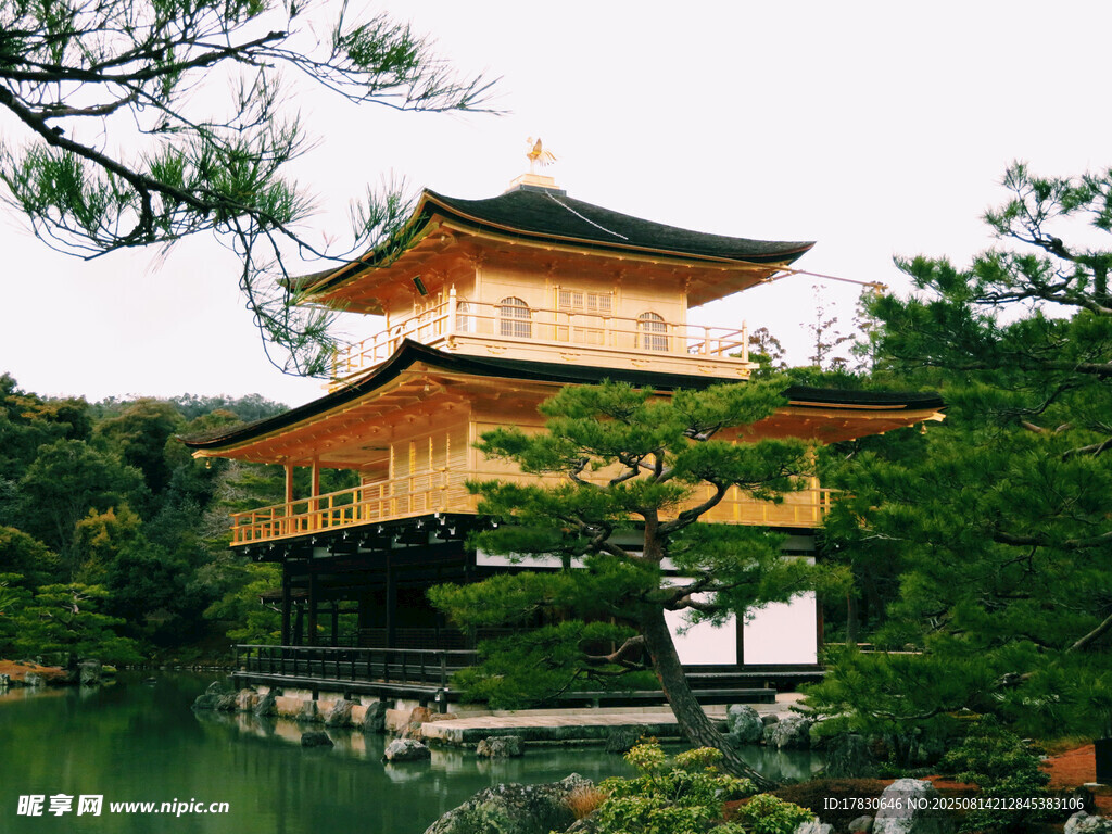 日本金閣寺的湖畔美景