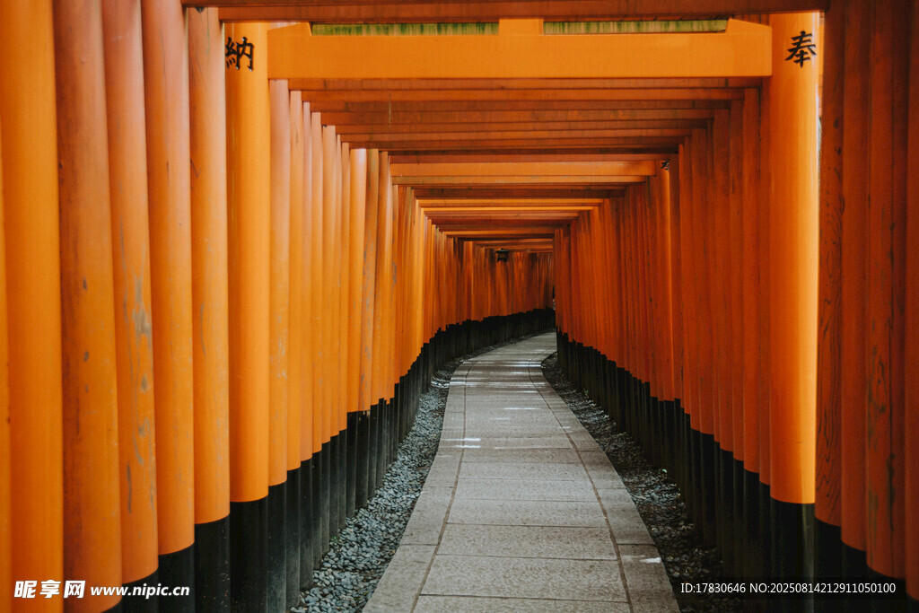 京都風光