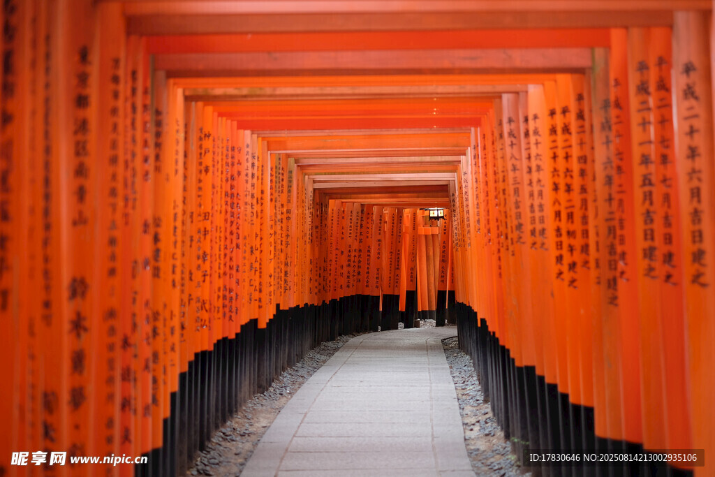 紅色鳥(niǎo)居通道景觀