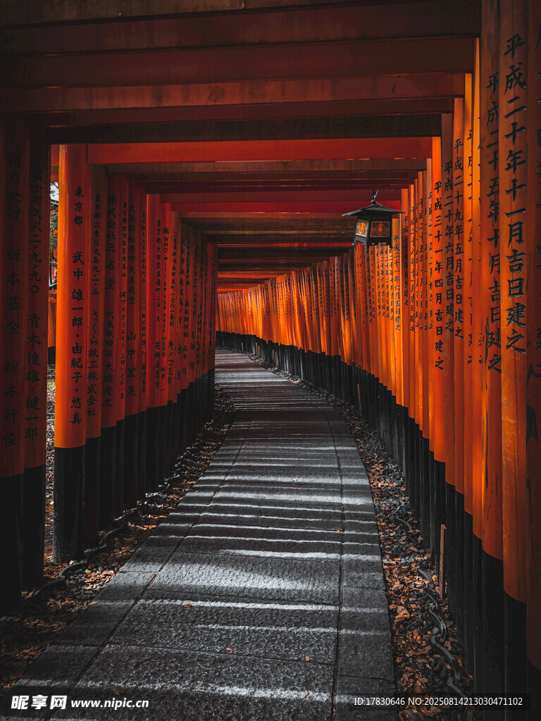 紅色鳥居通道的神秘景觀