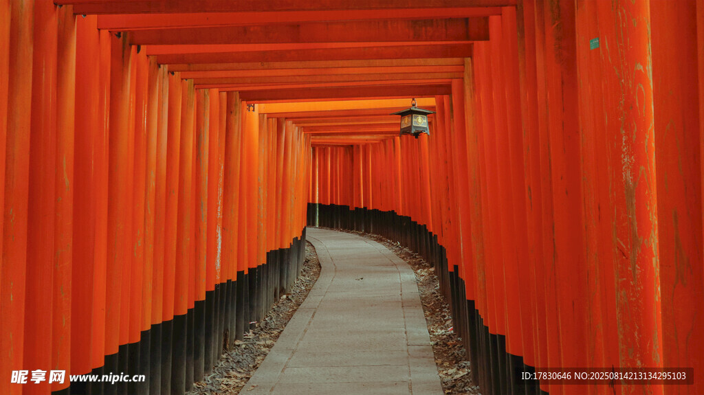 京都風光
