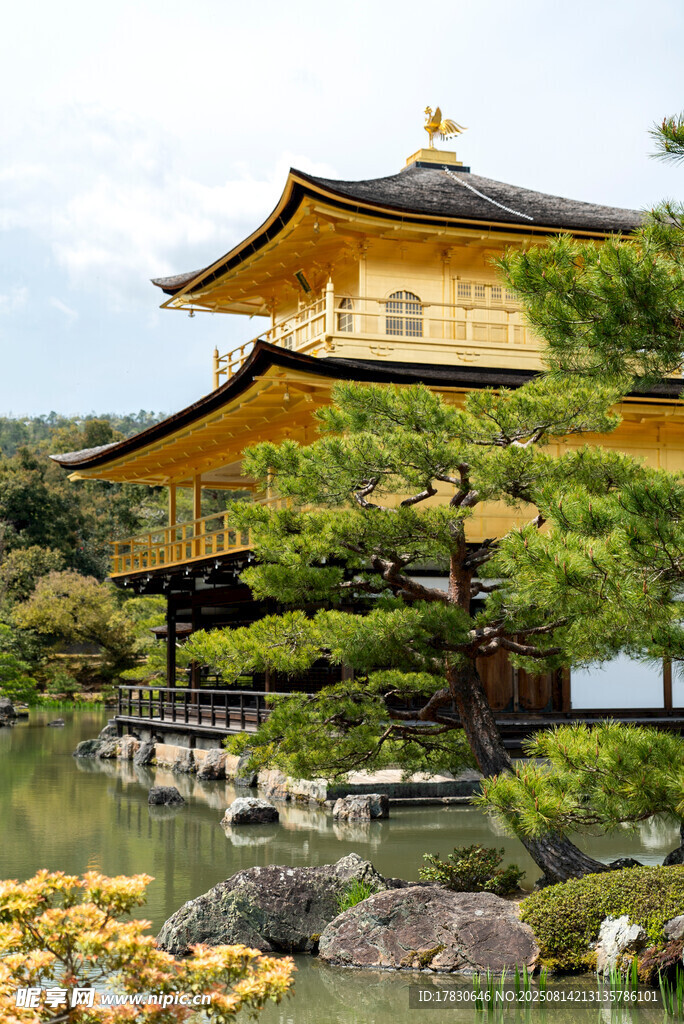 日本金閣寺景觀