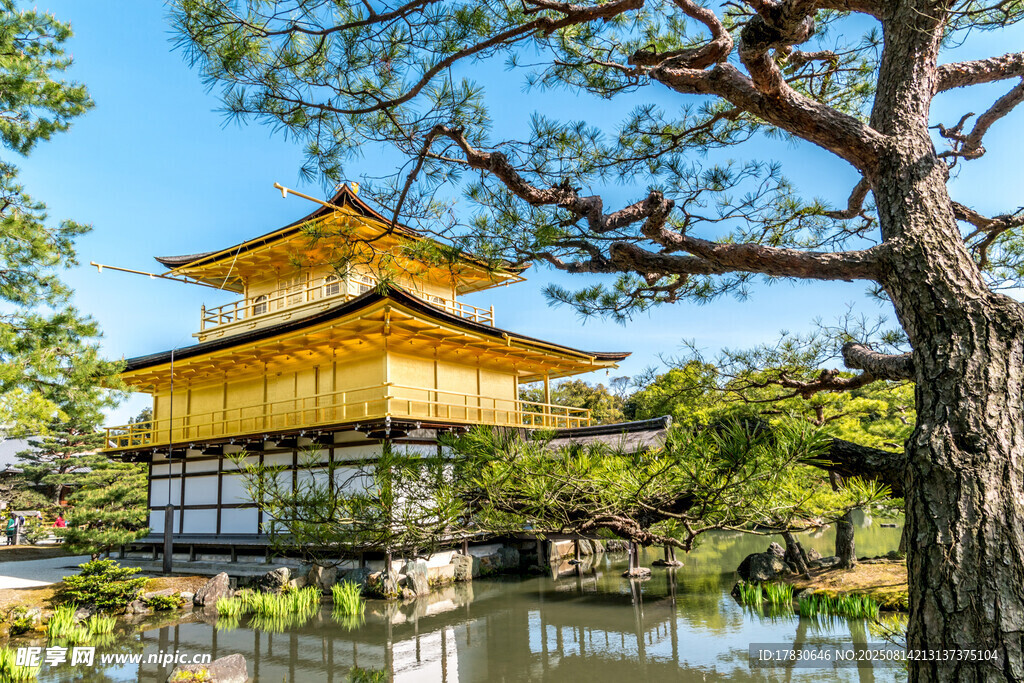 日本金閣寺美景