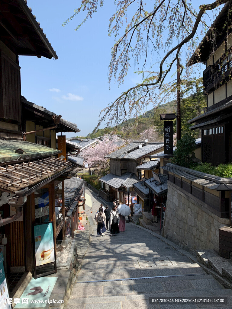 日本古街行人櫻花美景