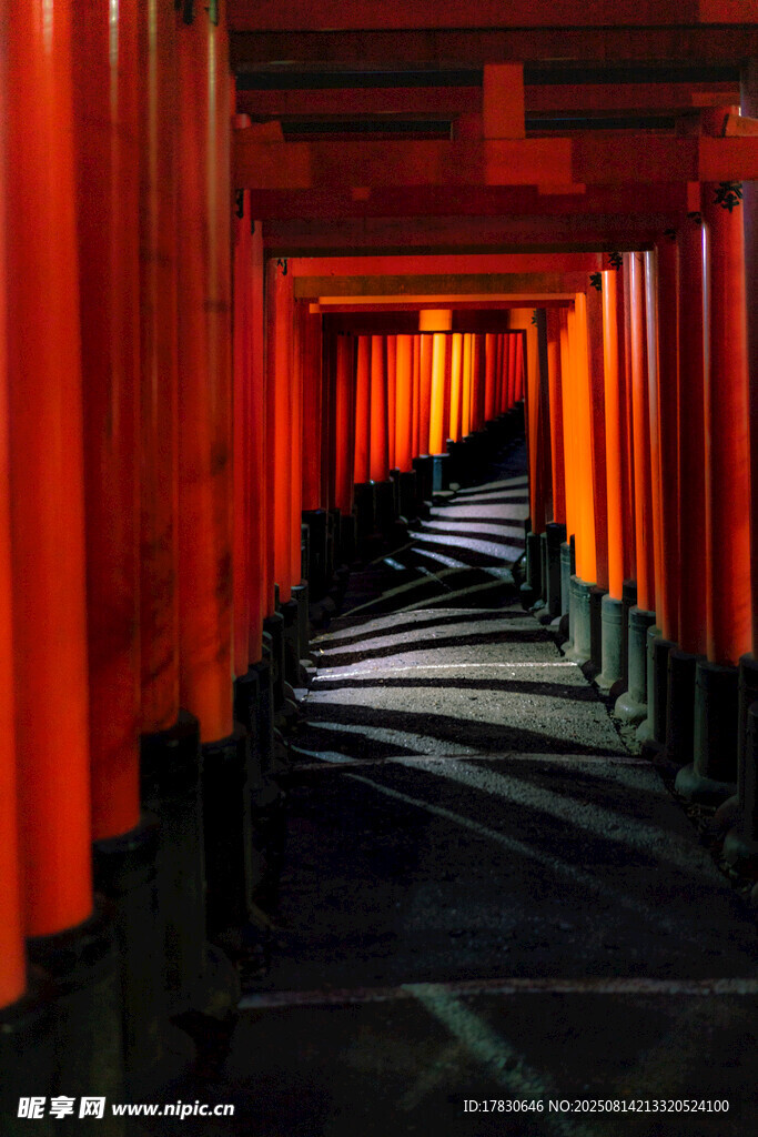 紅色鳥居通道的神秘景致