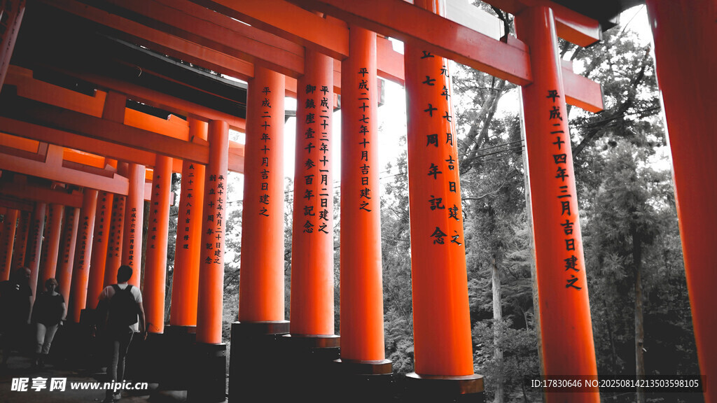 紅色鳥居通道景觀