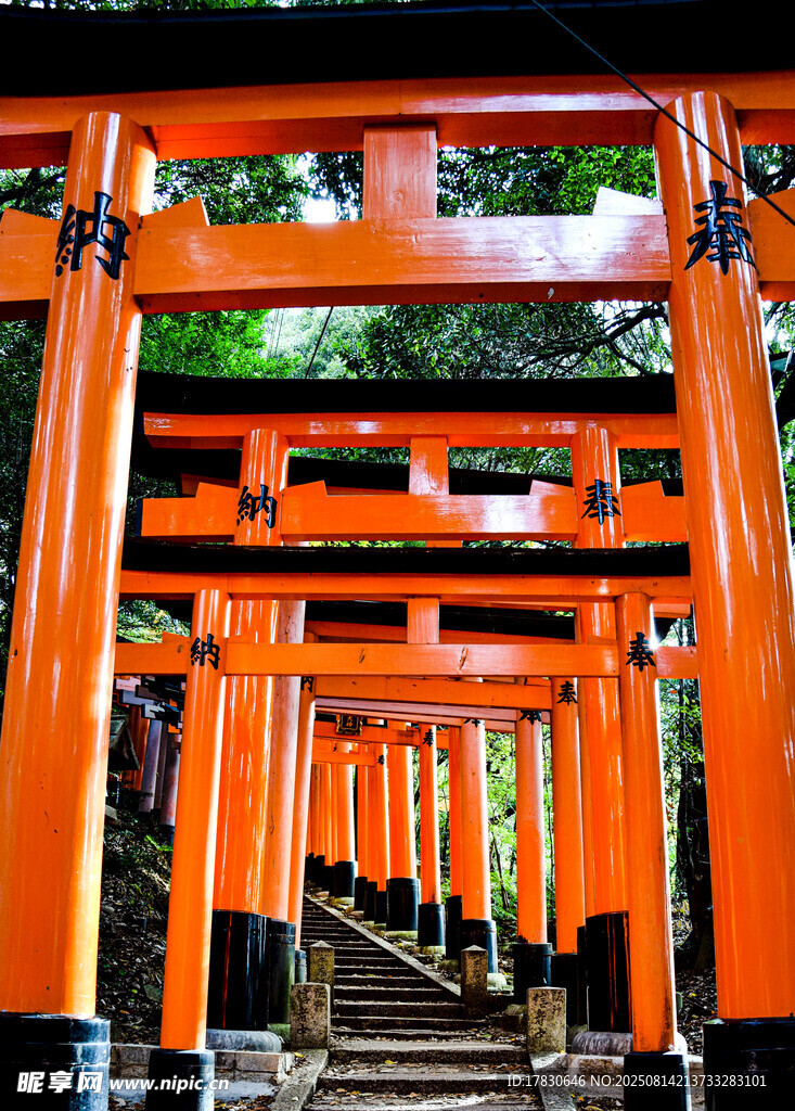 橙紅色鳥(niǎo)居通道景觀
