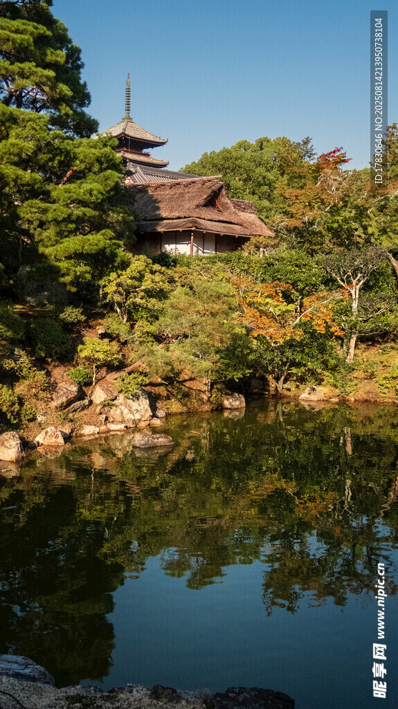 日式園林池塘景致