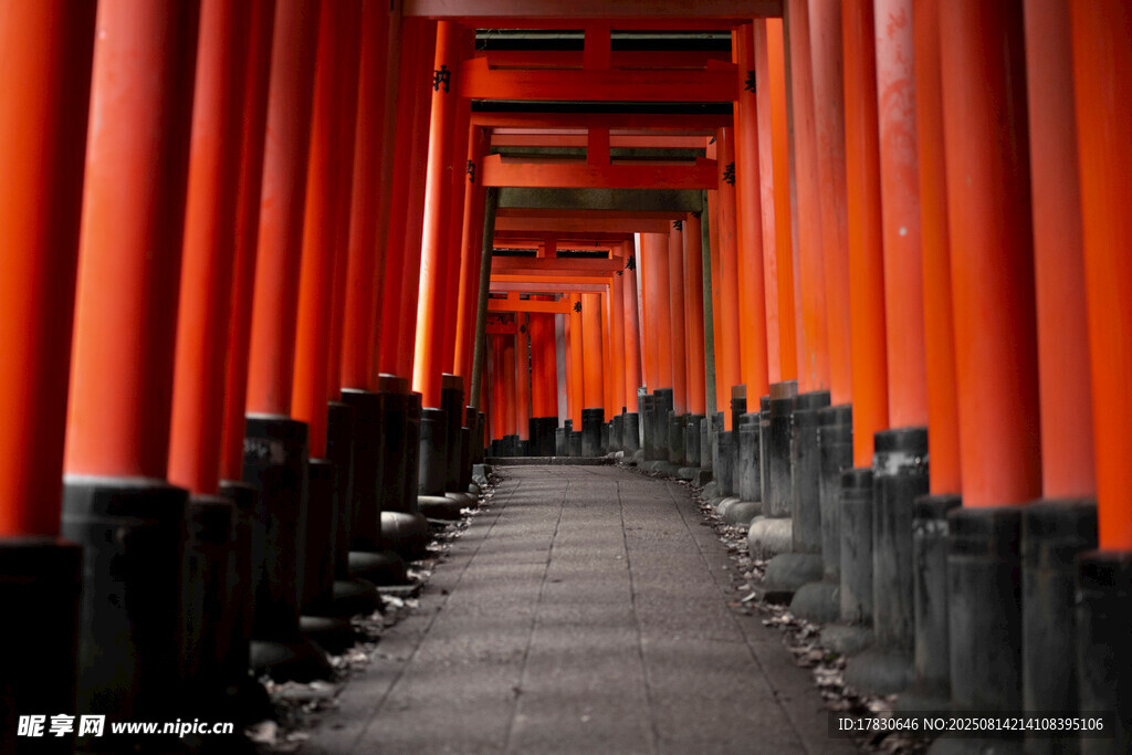 紅色鳥居通道的神秘景致