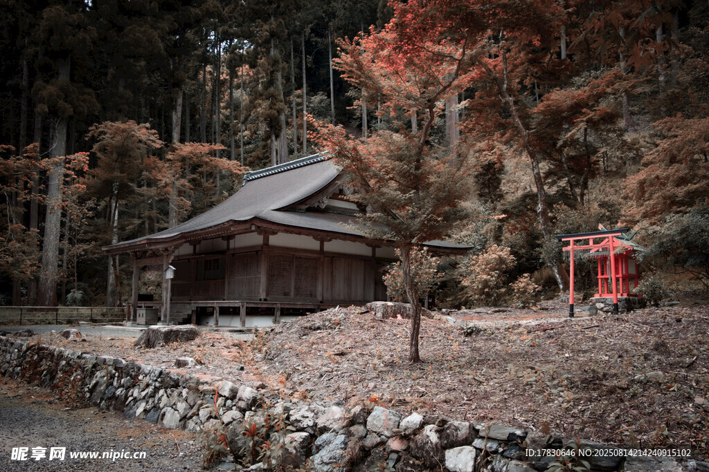 秋日山林中的古樸小屋