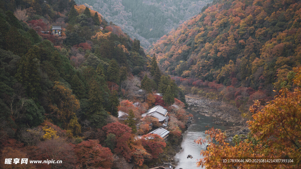 秋日山谷中的多彩景致
