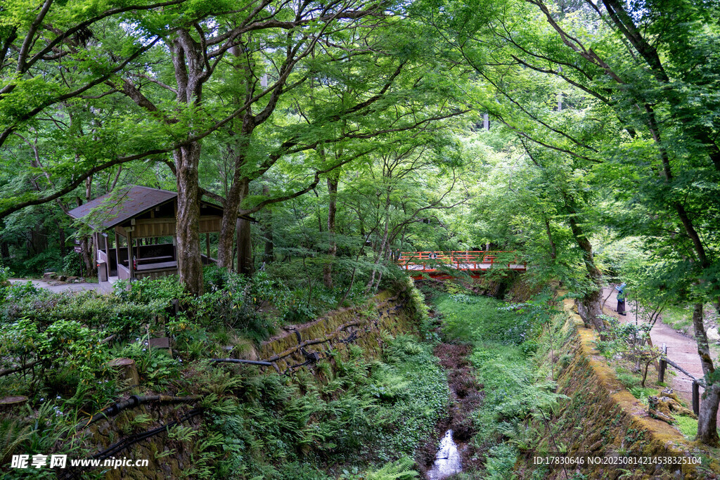 山林間的小屋與清幽溪流