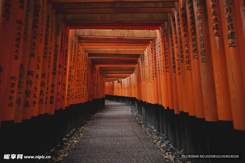 京都風光