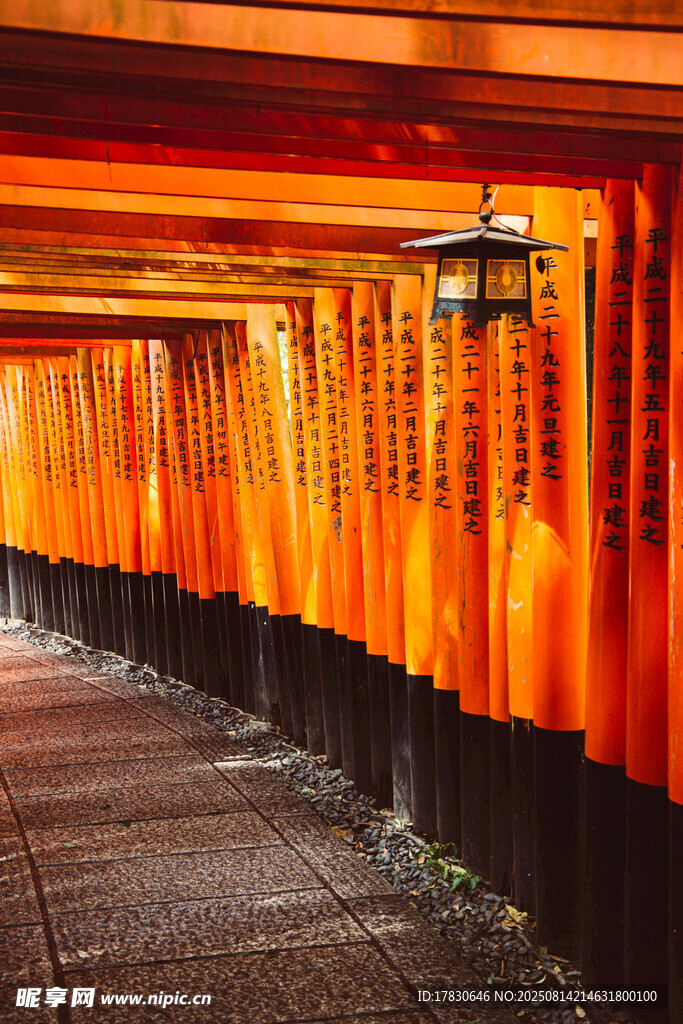 千本鳥居通道的絢爛景致