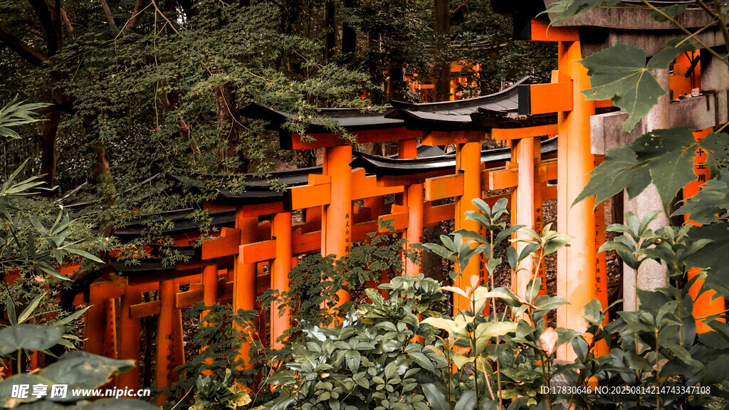 紅色鳥居立于蔥郁林間