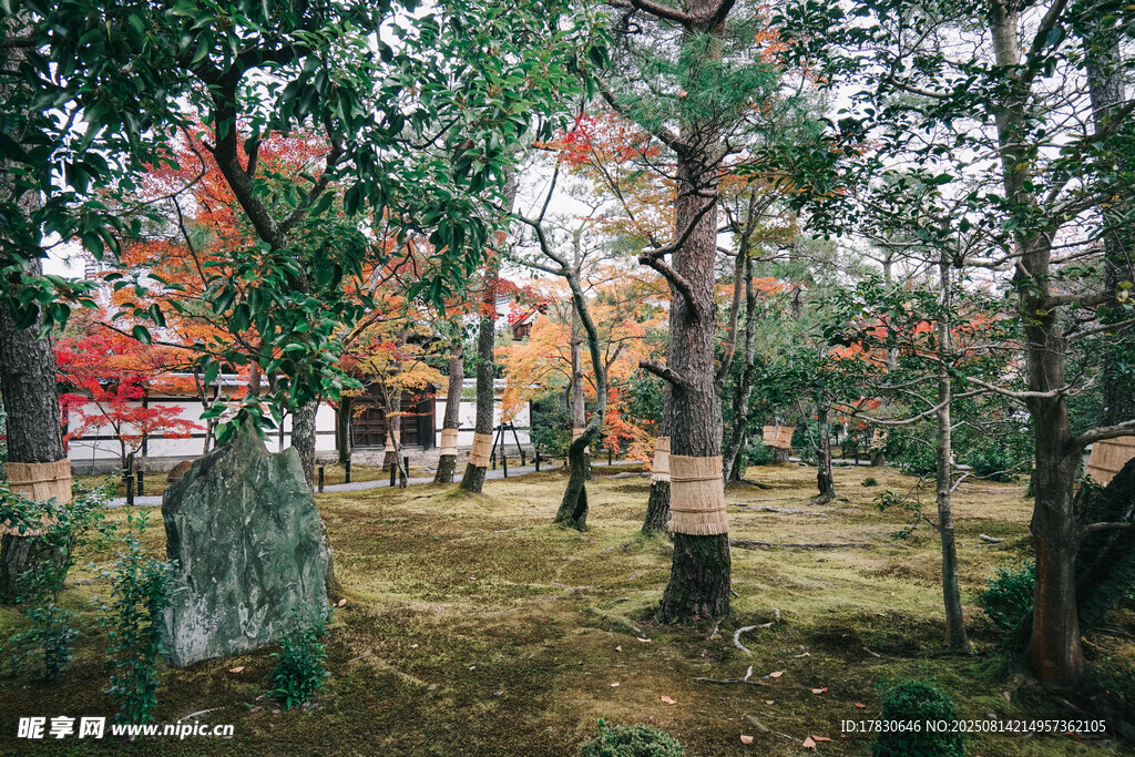 京都風(fēng)光