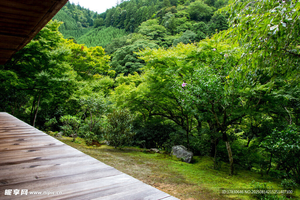 木質(zhì)露臺(tái)外的翠綠山林