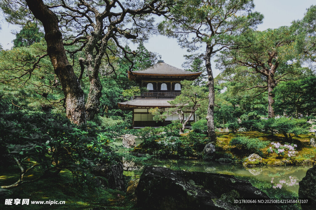 日式園林中的古樸建筑