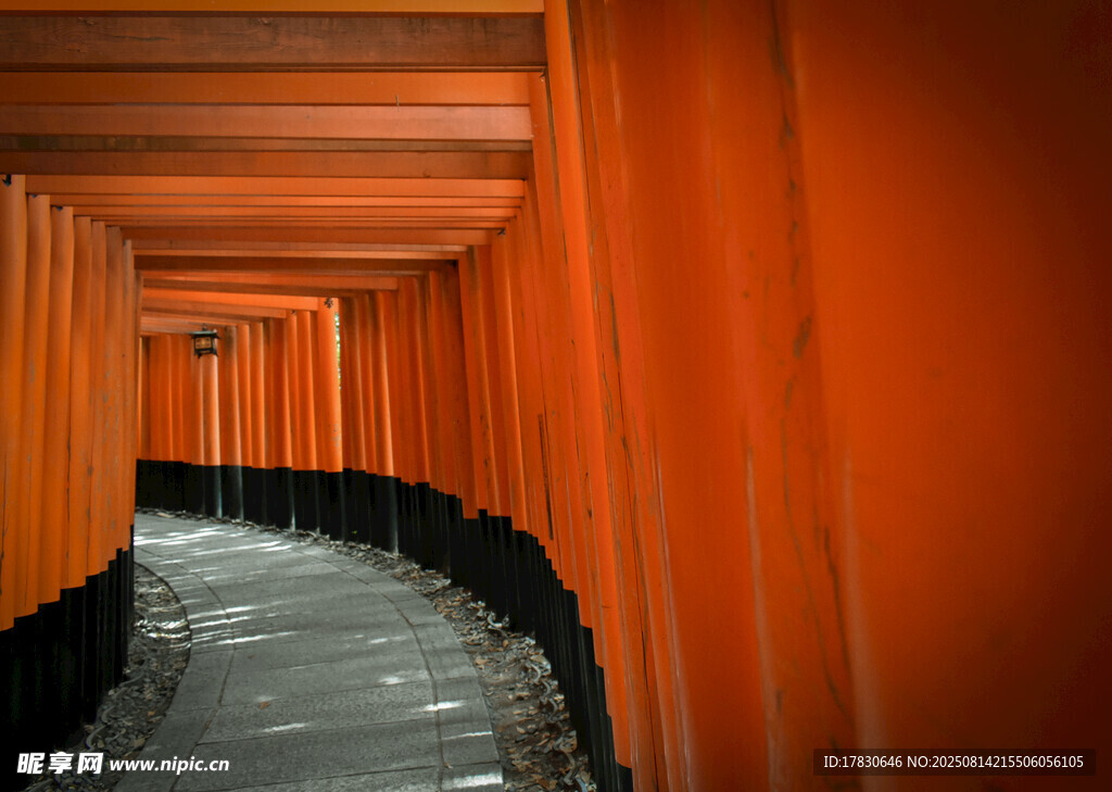 紅色鳥居通道景觀