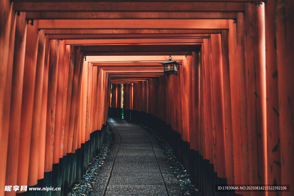 紅色鳥居通道的神秘景致