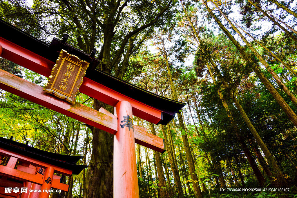 京都風(fēng)光