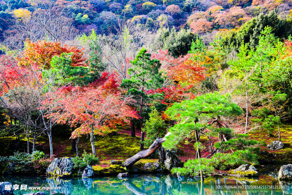 秋日山林湖畔絢麗美景