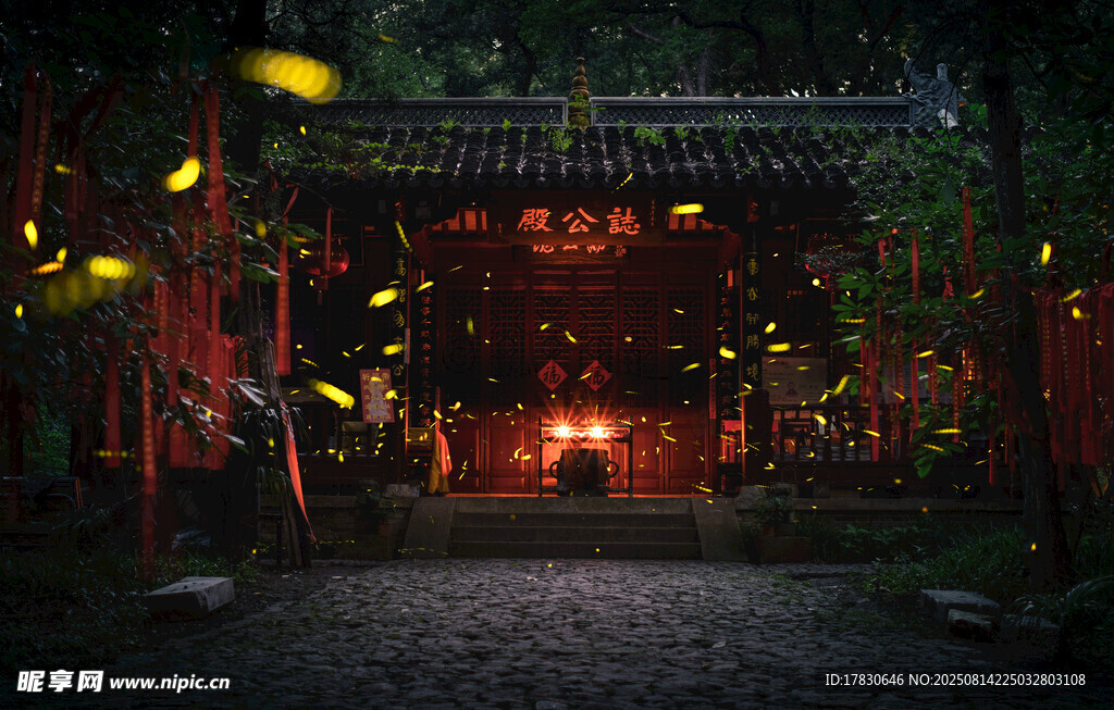 夏天夜晚南京靈谷寺的螢火蟲